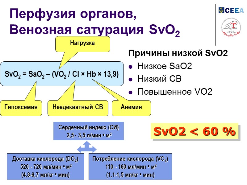 Перфузия органов,  Венозная сатурация SvO2 Причины низкой SvO2 Низкое SaO2 Низкий СВ Повышенное